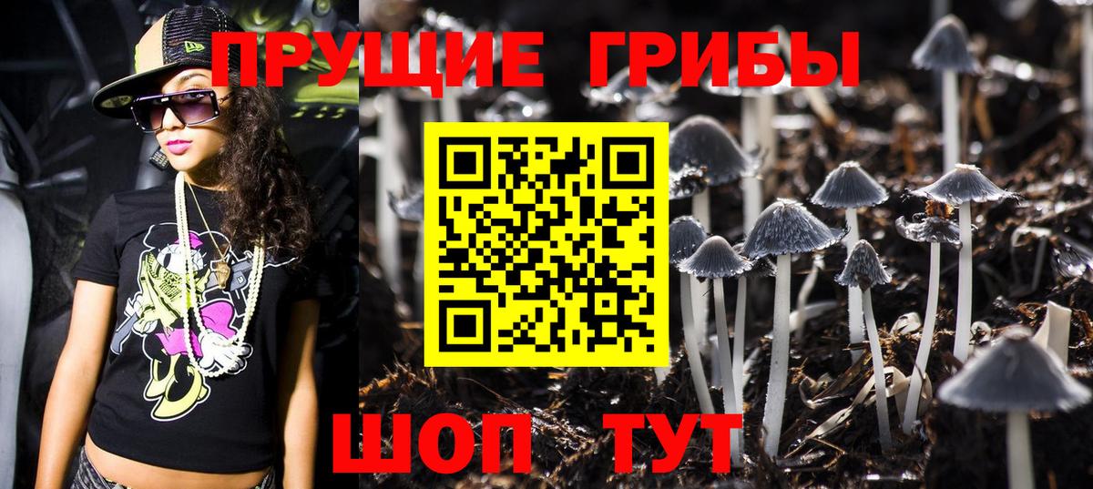 Псилоцибиновые грибы Psilocybe  наркотики  Ростов Великий  Вход с VPN  Псилоцибиновые грибы прущие грибы 